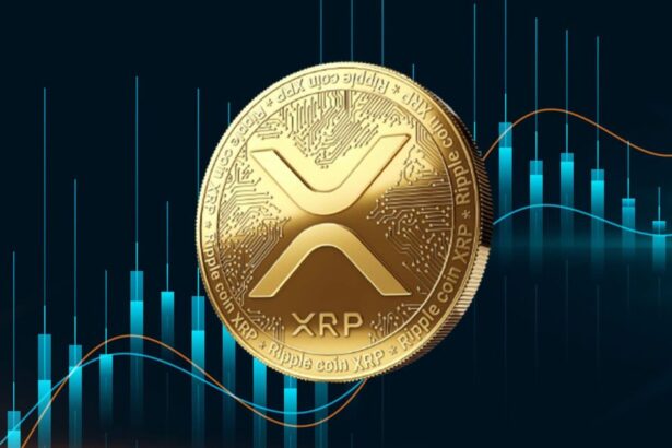 xrp fiyat tahmini